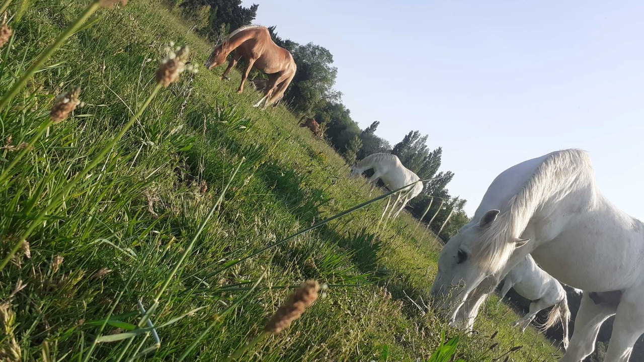 Photo of Outdoor in Eygalieres