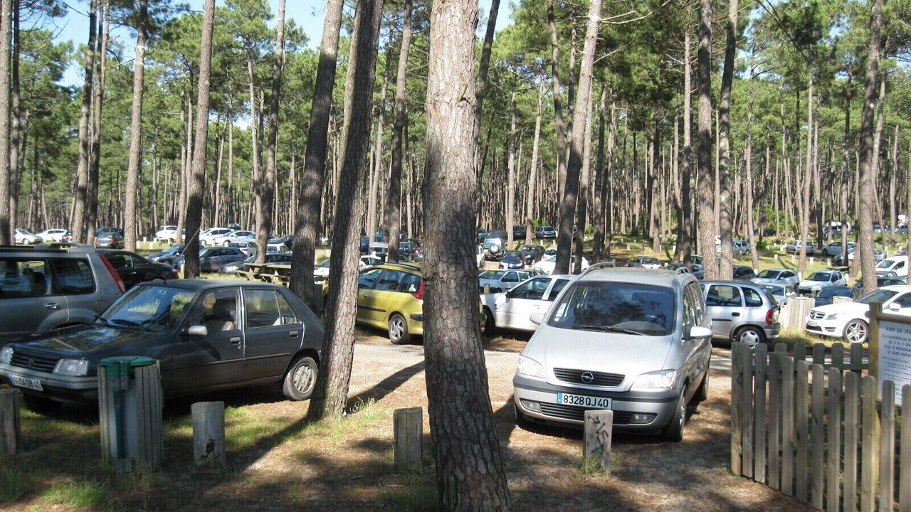 Photo of Outdoor in Bias