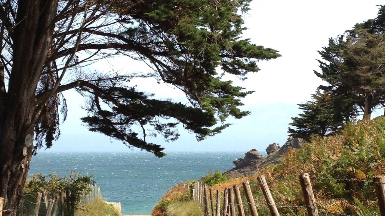 Photo of Outdoor in Parame