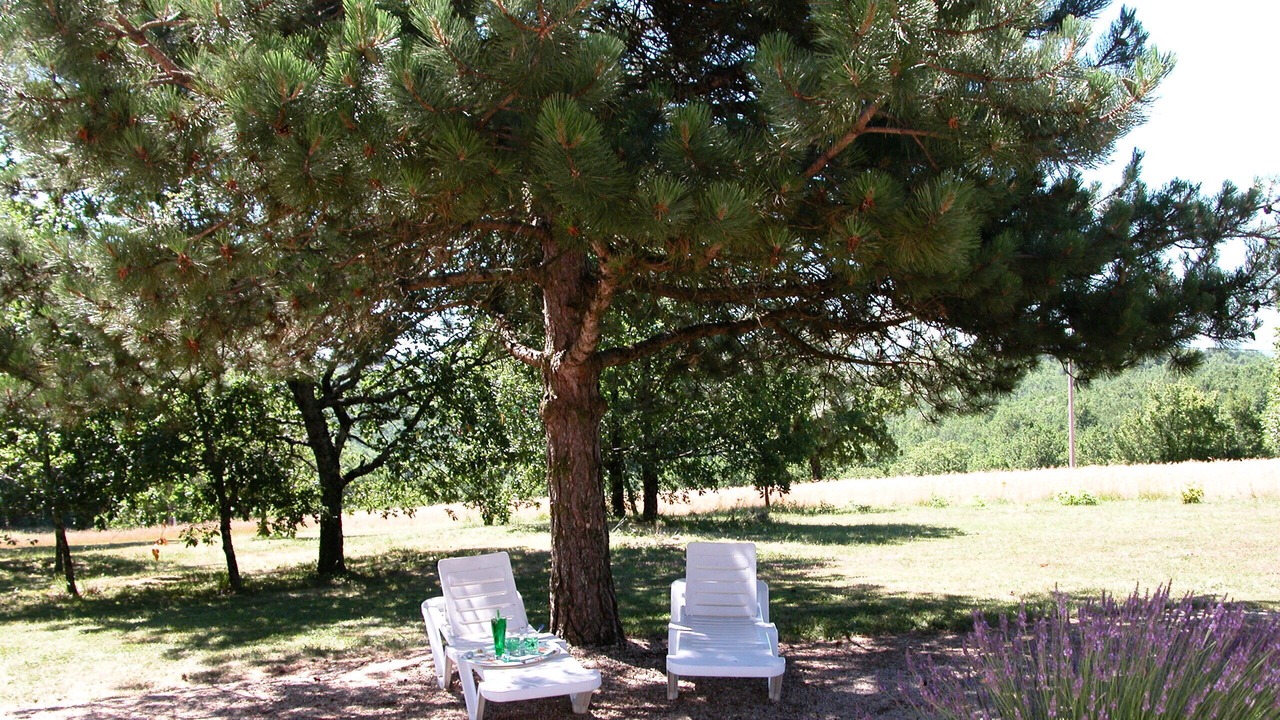 Photo of Outdoor in Salignac-Eyvignes