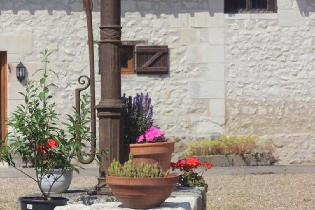 Photo of Outdoor in Cussay