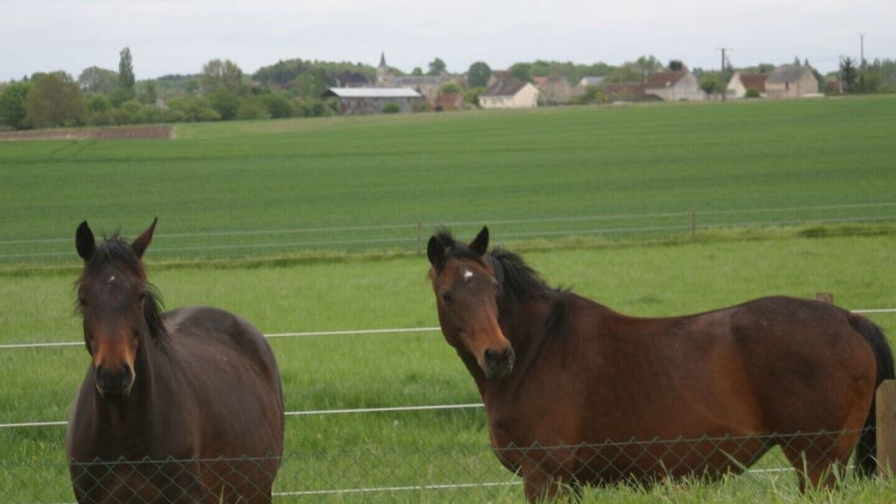 Photo of Others in Cussay