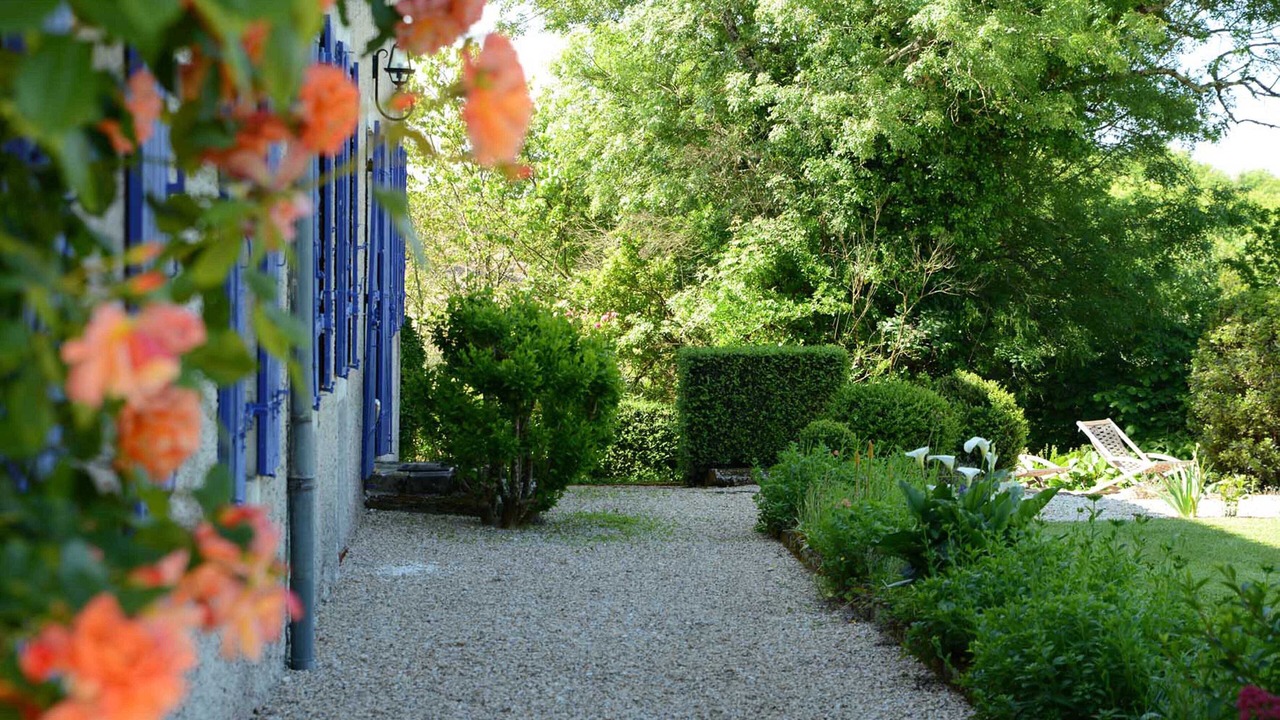 Photo of Outdoor in Saint Palais