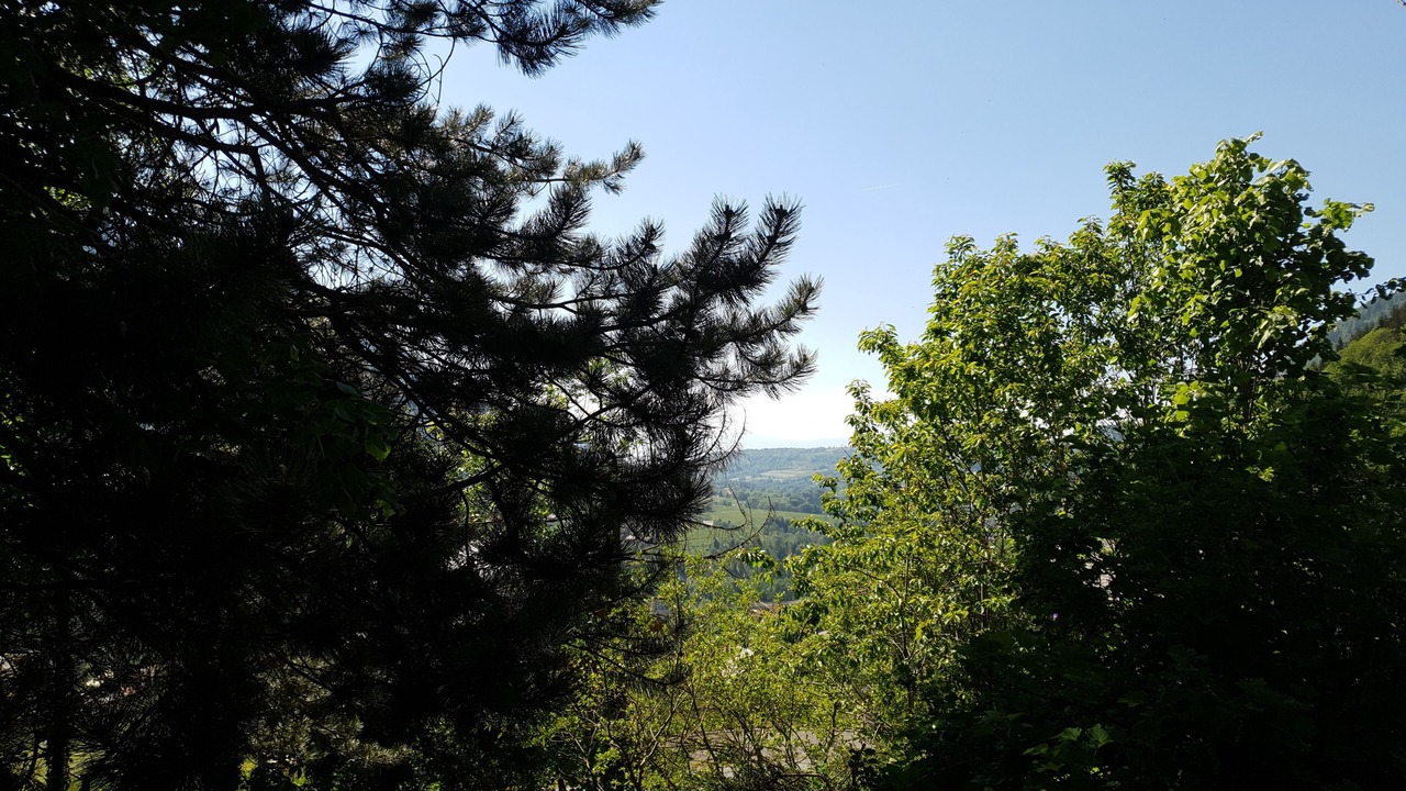 Photo of Outdoor in Vacheresse