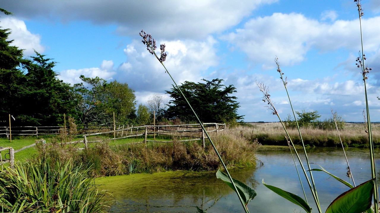 Photo of Outdoor in Bouin