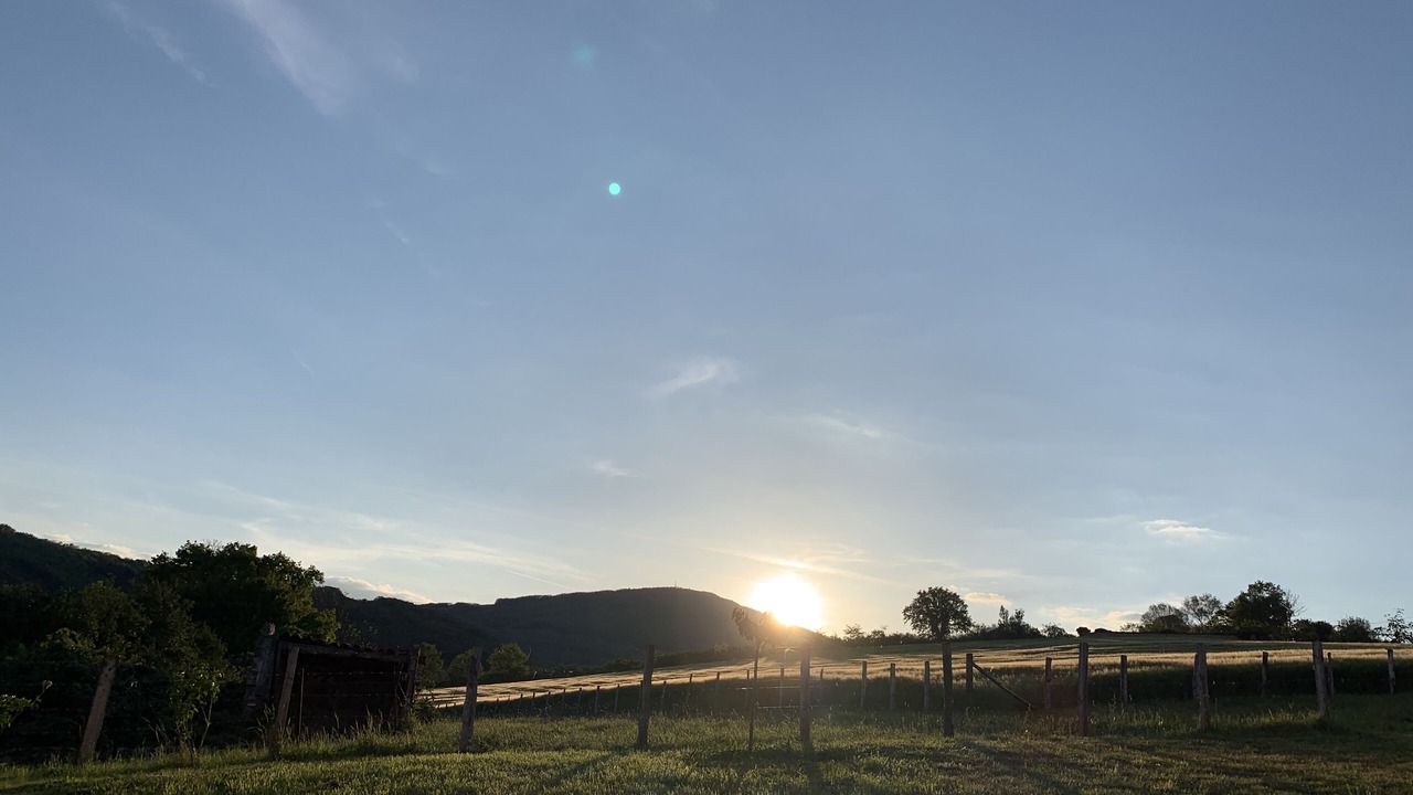 Photo of Outdoor in Savigny
