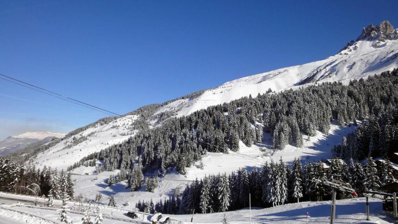 Photo of Others in Meribel-Mottaret