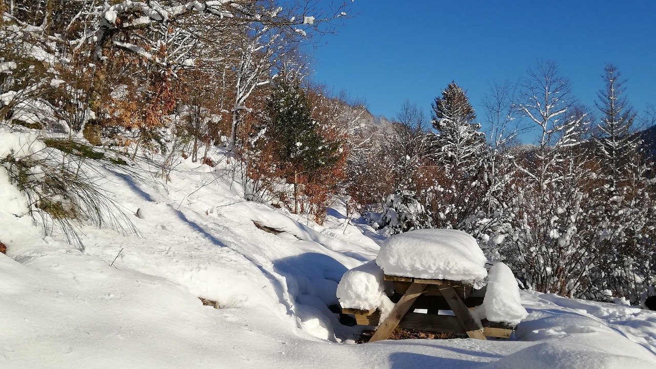 Photo of Outdoor in Basse-sur-le-Rupt