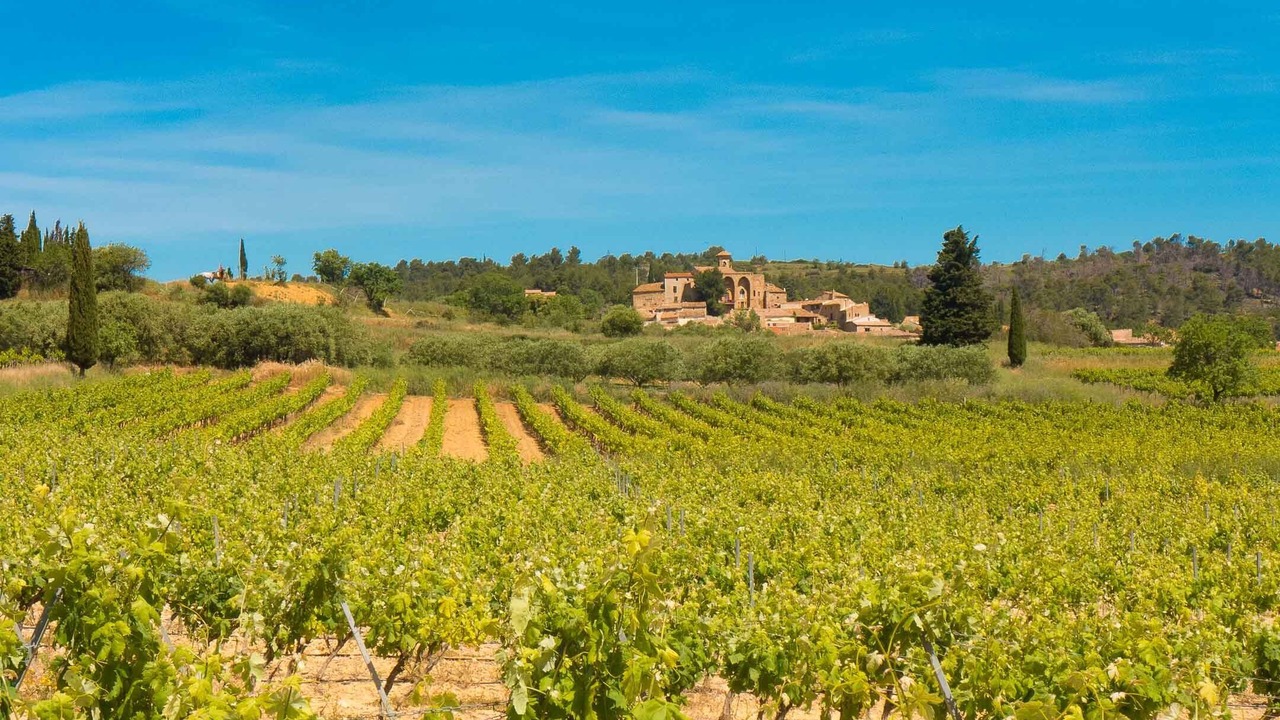 Photo of Outdoor in Montouliers