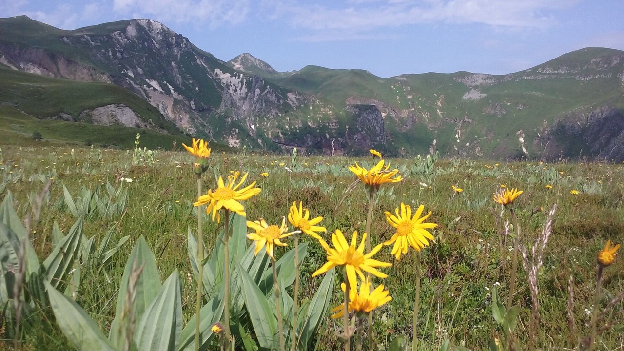 Photo of Outdoor in Chambon-sur-Lac