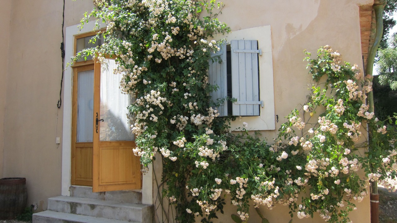Photo of Outdoor in Saint-Chinian