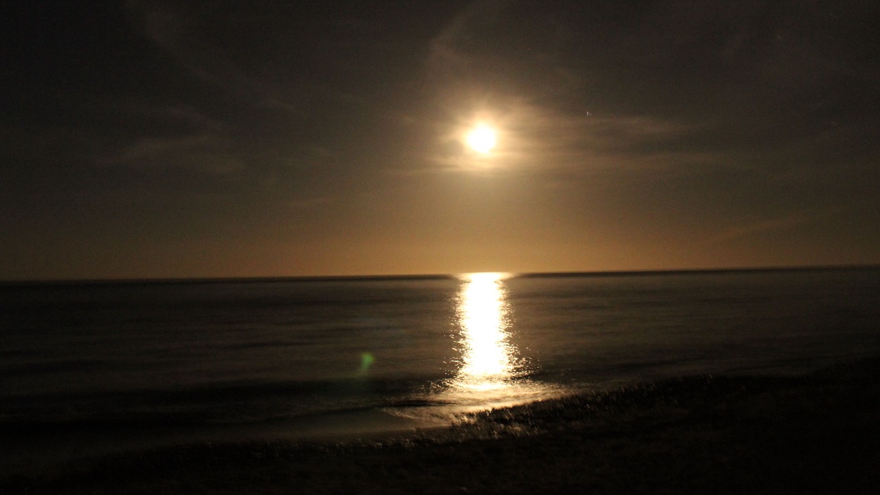 Photo of Others in Santa-Lucia-di-Moriani