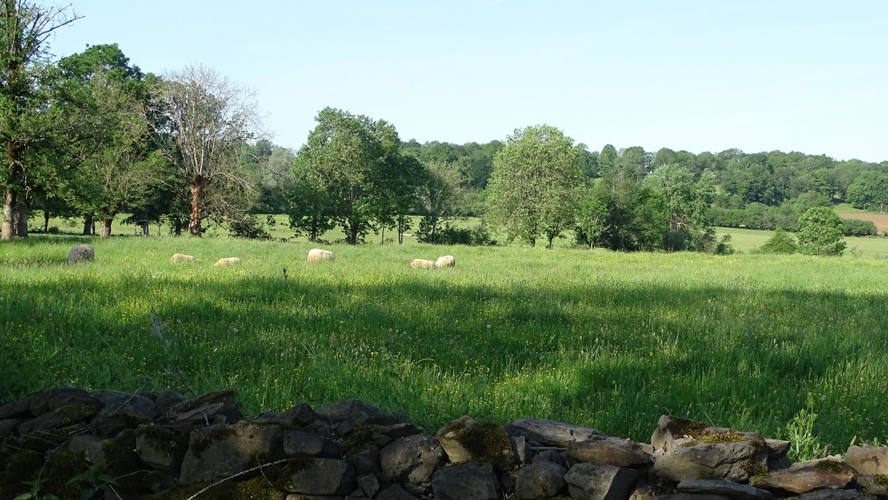 Photo of Outdoor in Marcouyeux (le Jardin)