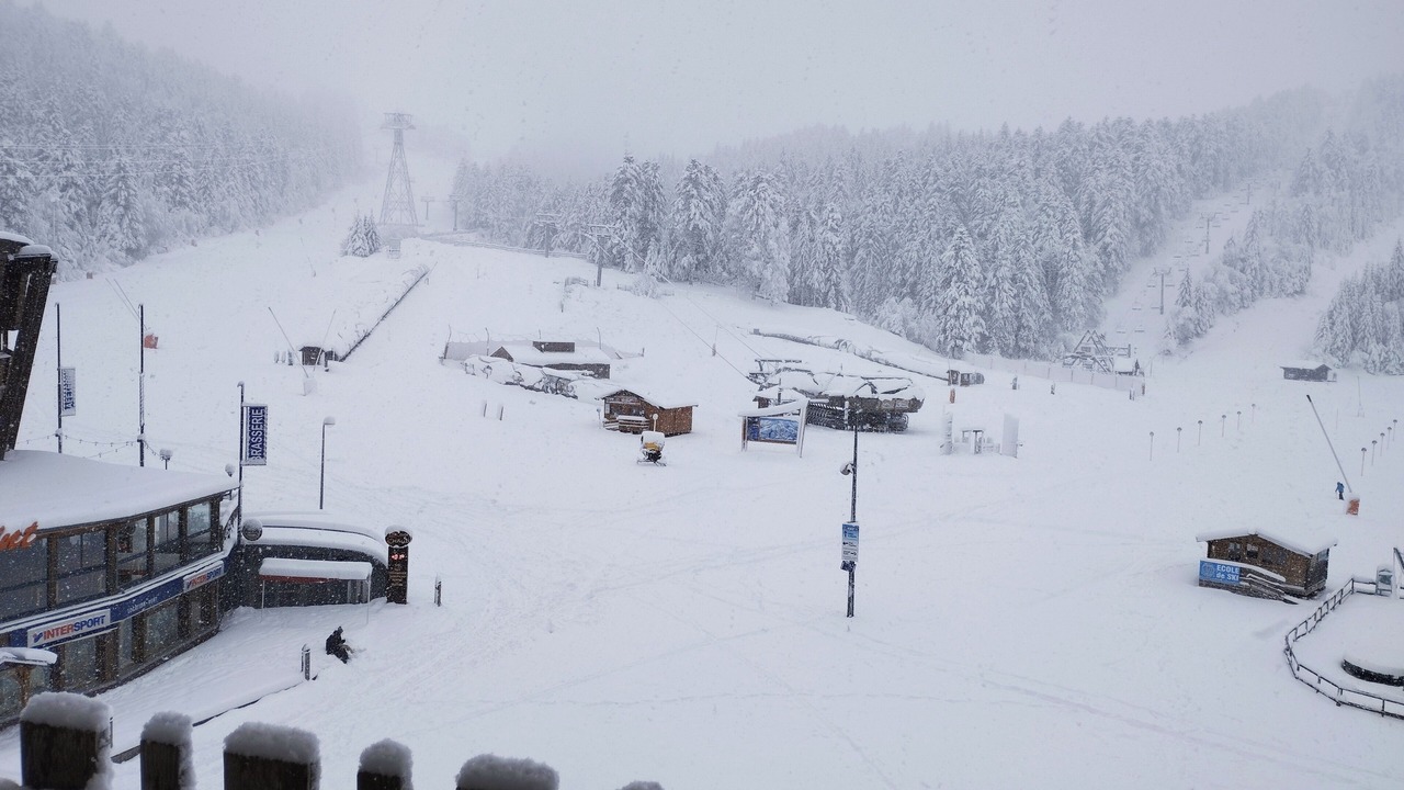 Photo of Others in Laveissiere