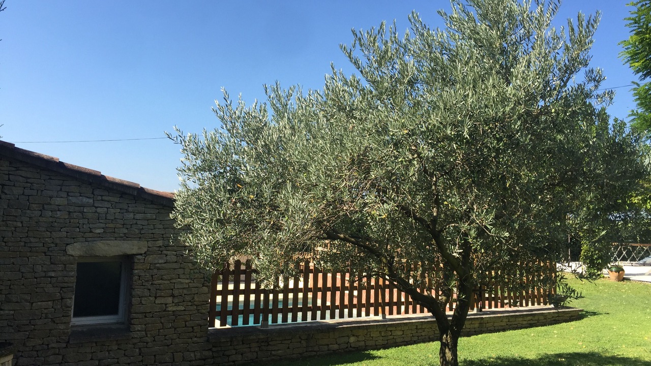 Photo of Outdoor in Saumane-de-Vaucluse