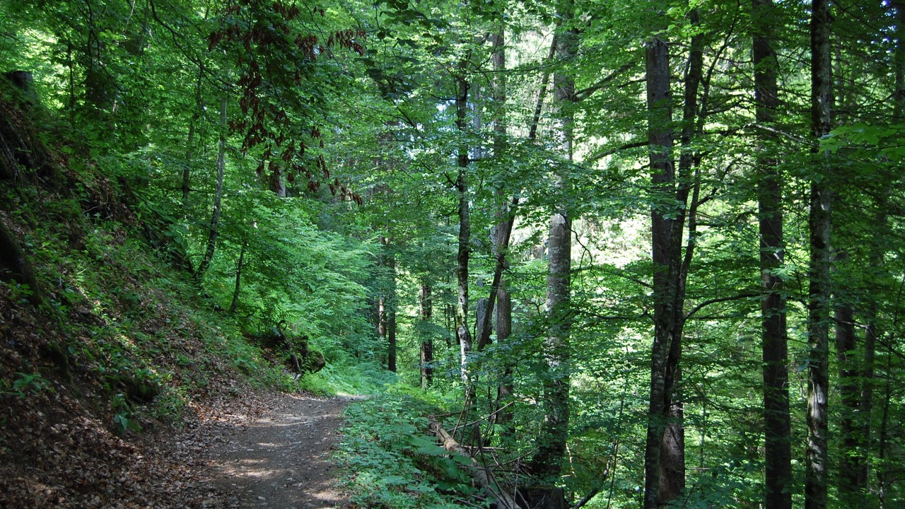 Photo of Outdoor in Manigod