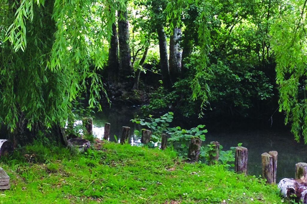 Photo of Outdoor in Trigueres