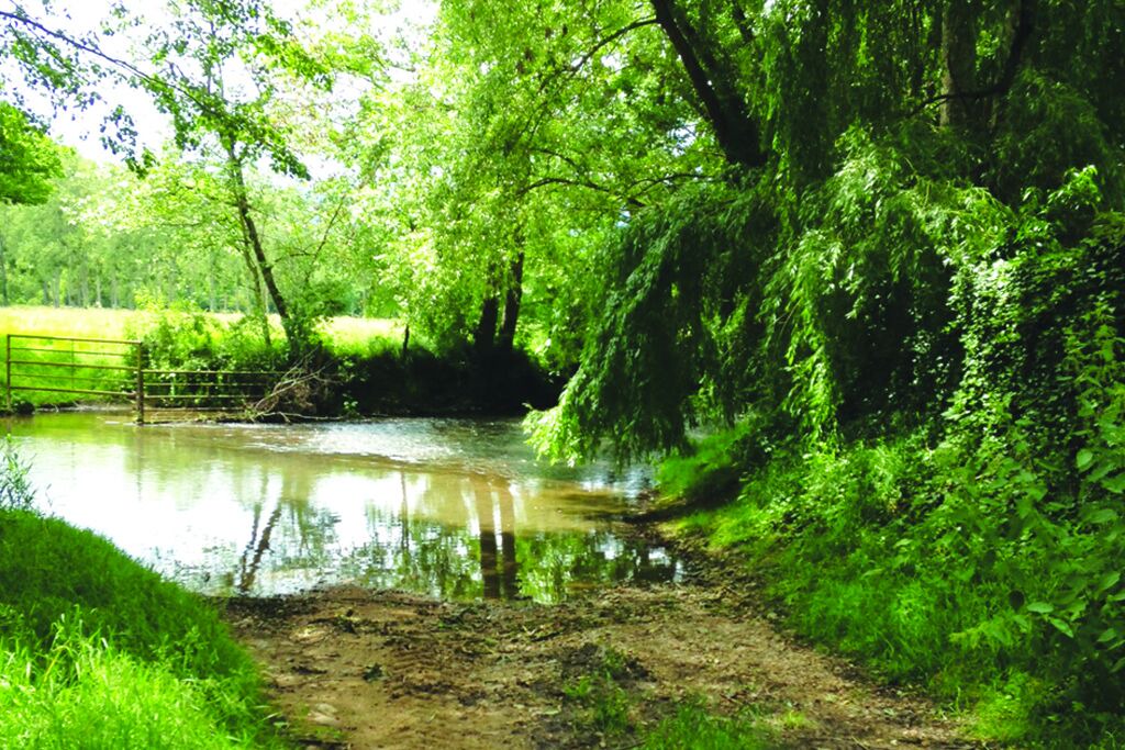 Photo of Outdoor in Trigueres