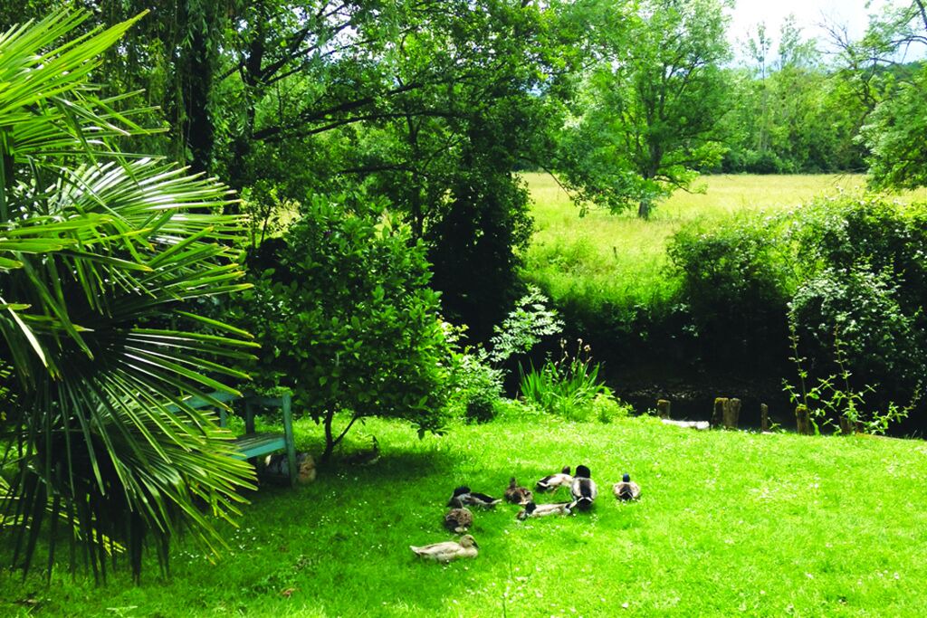 Photo of Outdoor in Trigueres