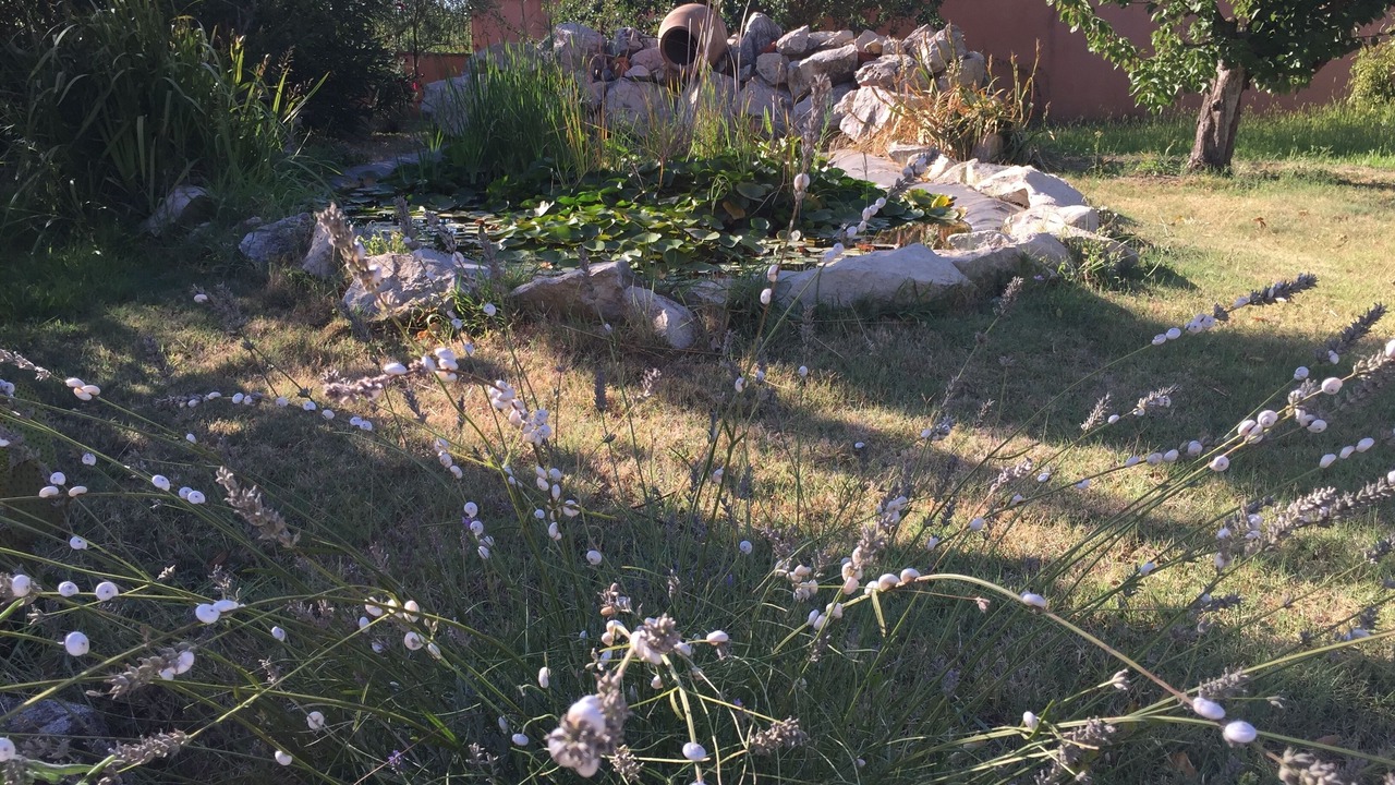 Photo of Outdoor in Chateaurenard