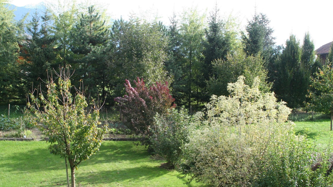 Photo of Outdoor in Mercury