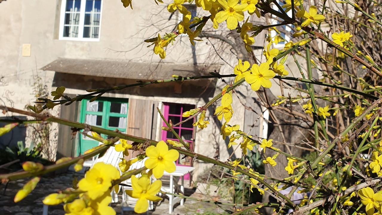Photo of Outdoor in Roche-Saint-Secret