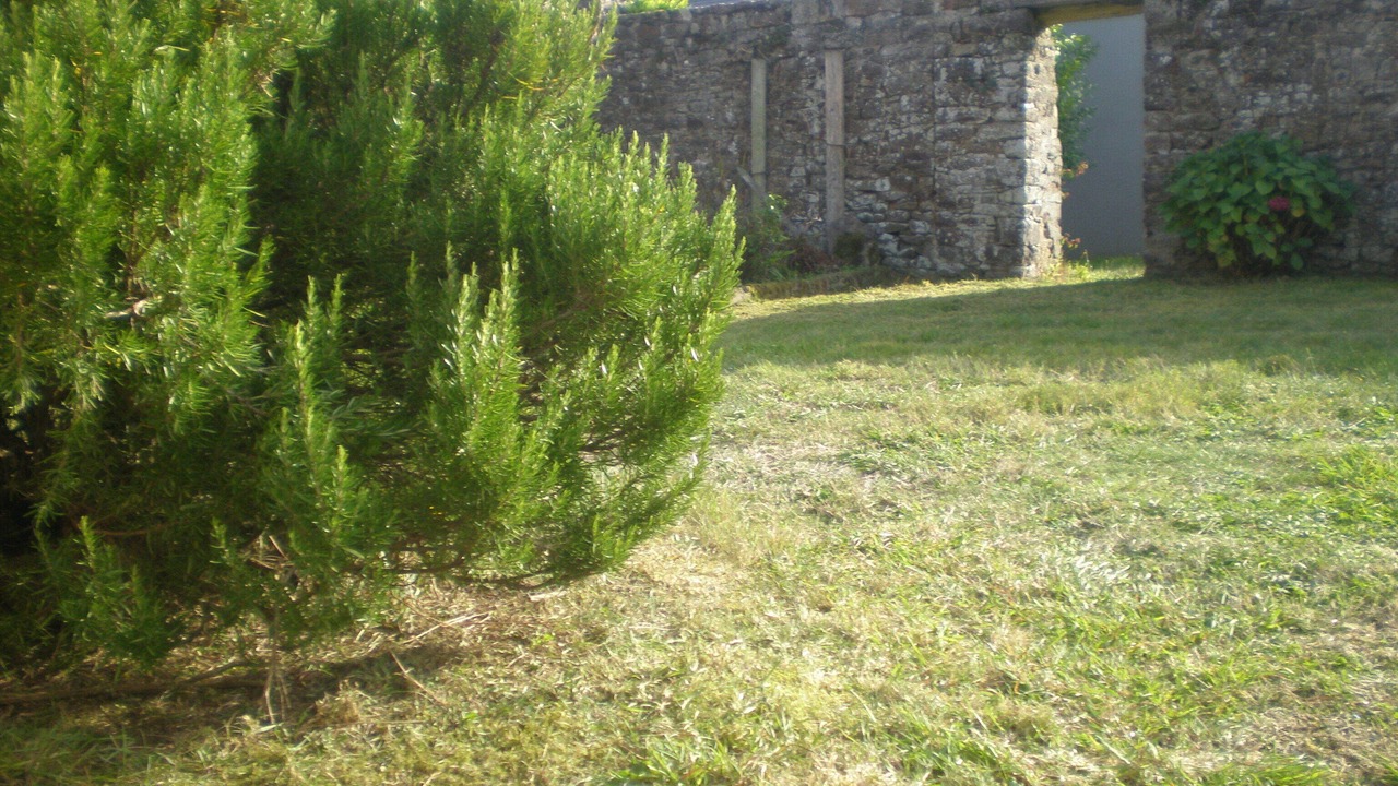 Photo of Outdoor in Plouezec