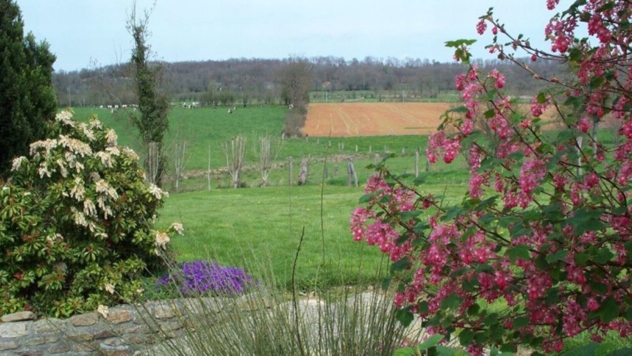 Photo of Outdoor in Montchamp