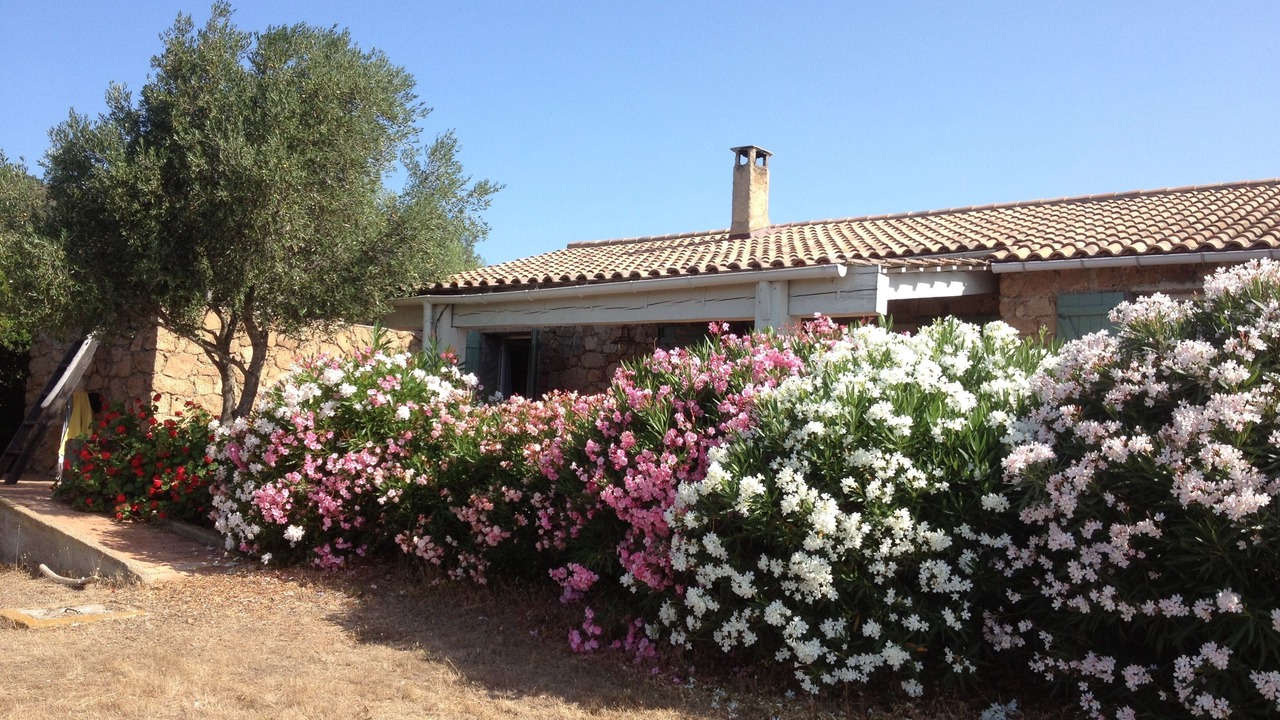 Photo of Outdoor in Sartene