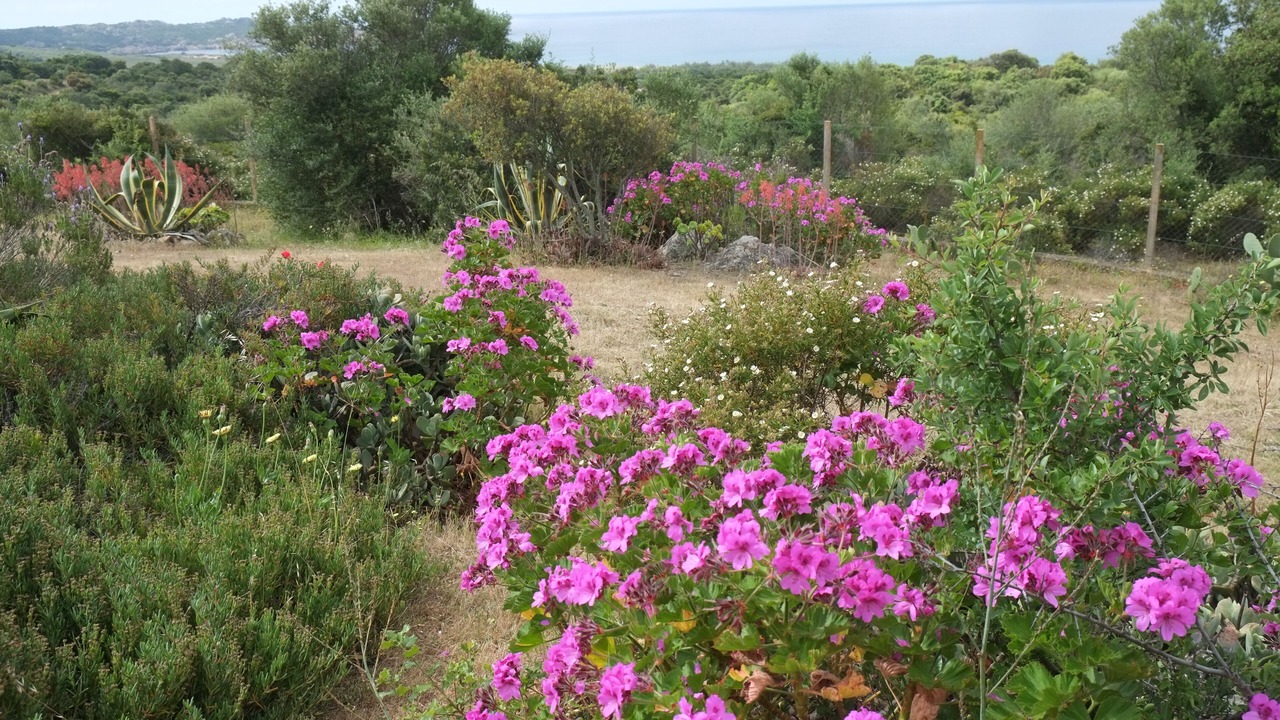 Photo of Outdoor in Sartene