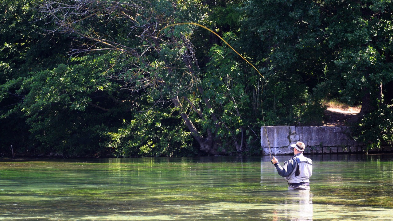 Photo of Others in L'Isle-sur-la-Sorgue