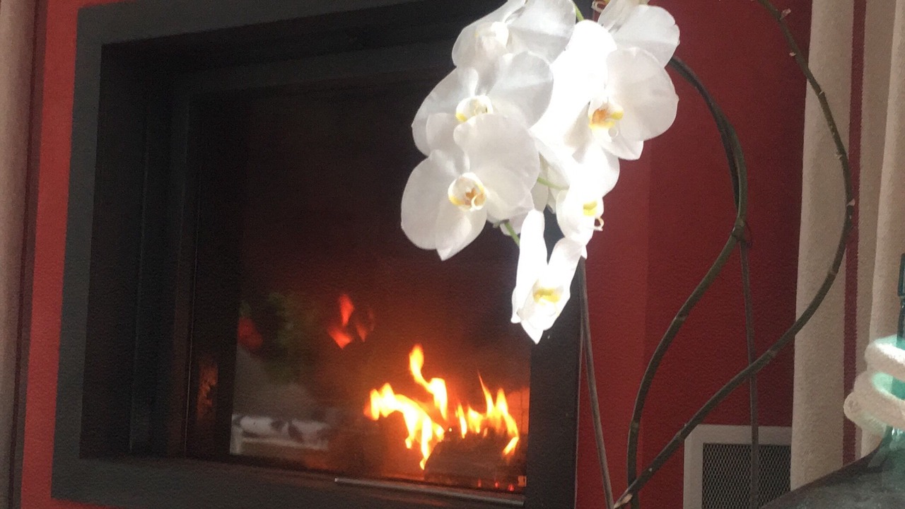 Photo of Livingroom in Capbreton