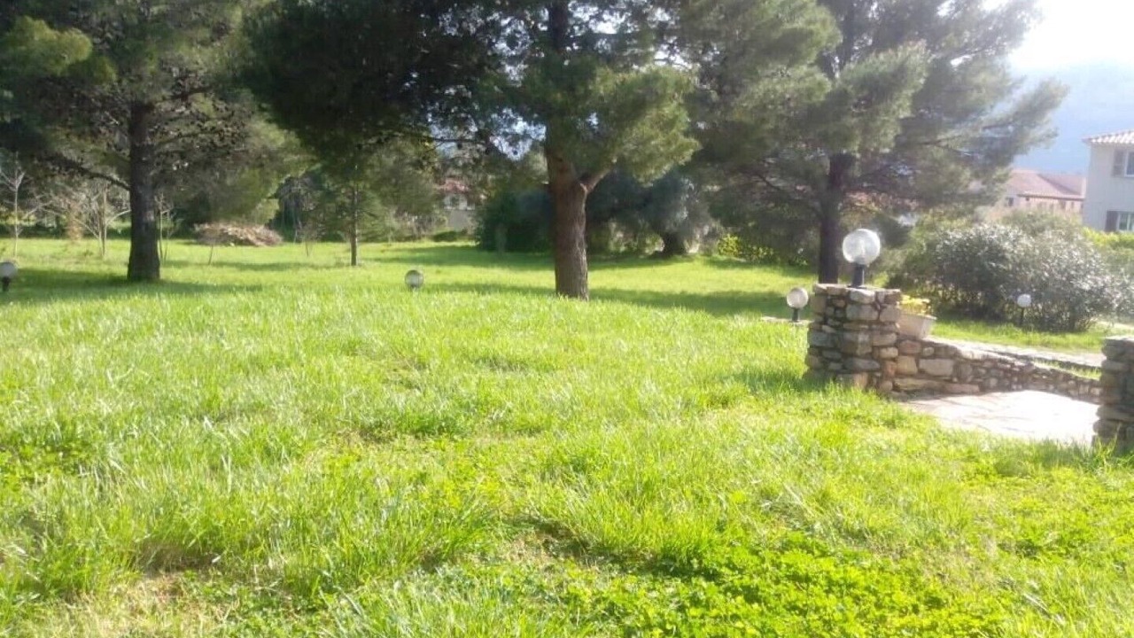 Photo of Outdoor in Patrimonio