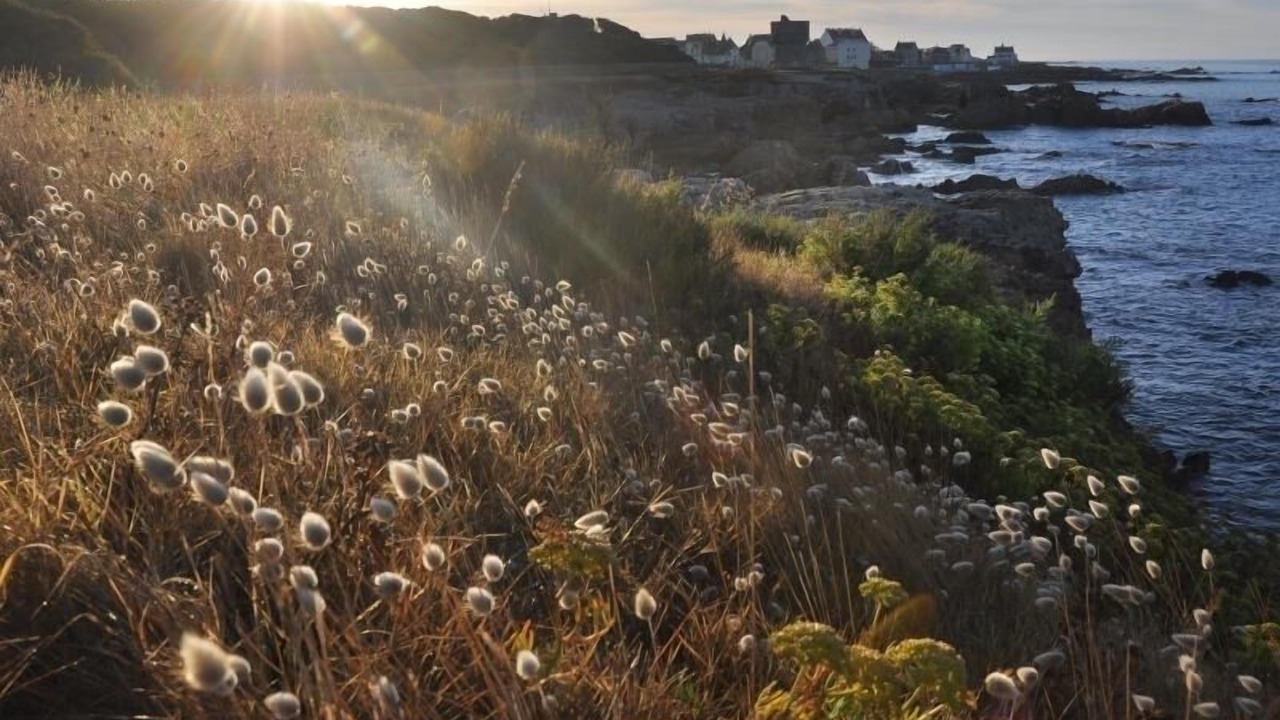 Photo of Others in Piriac-sur-Mer