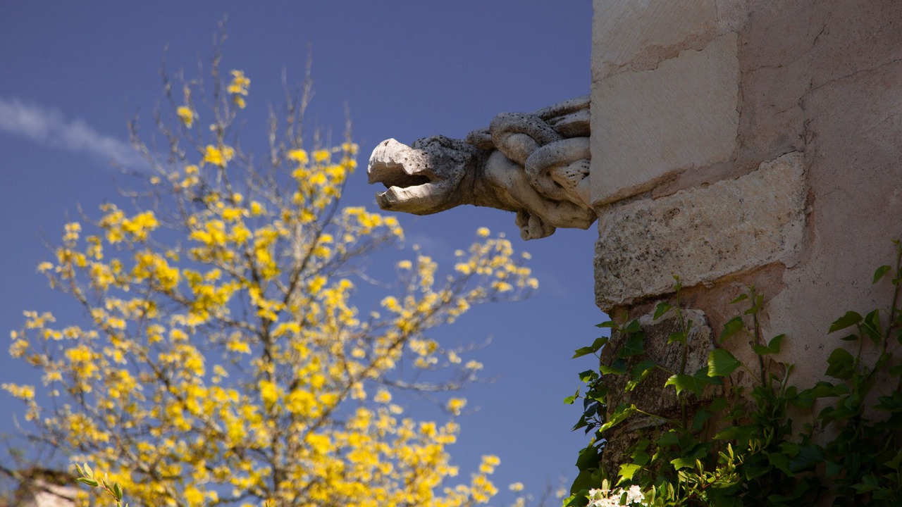 Photo of Outdoor in Saint-Seurin-de-Prats