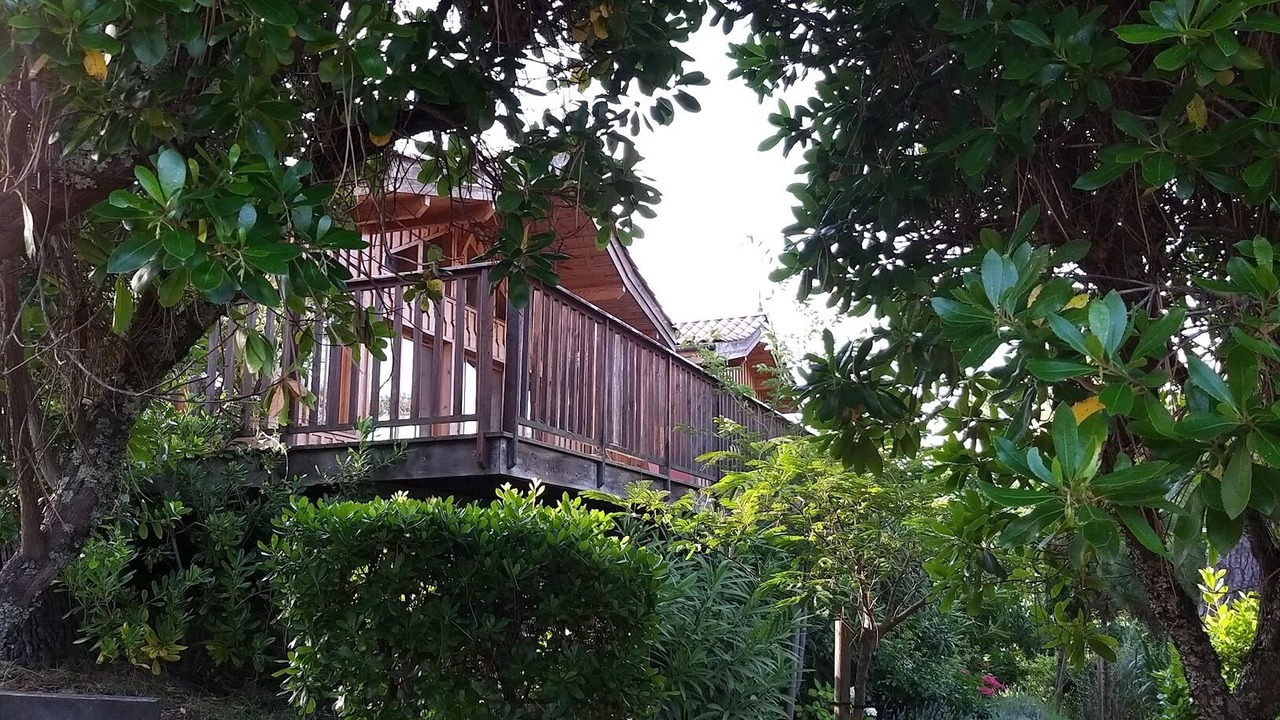 Photo of Outdoor in Cap-Ferret