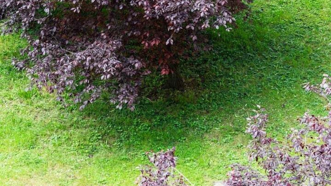 Photo of Others in Villette - Maisons Neuves
