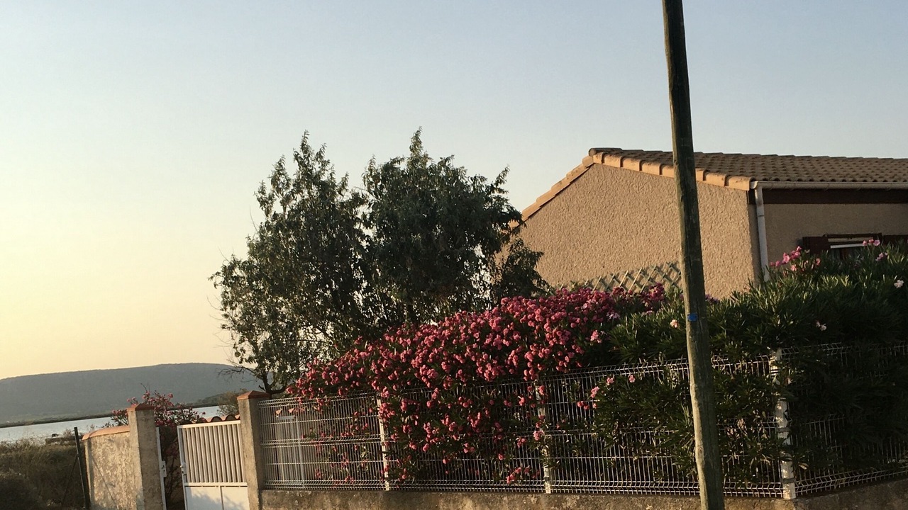 Photo of Outdoor in Frontignan