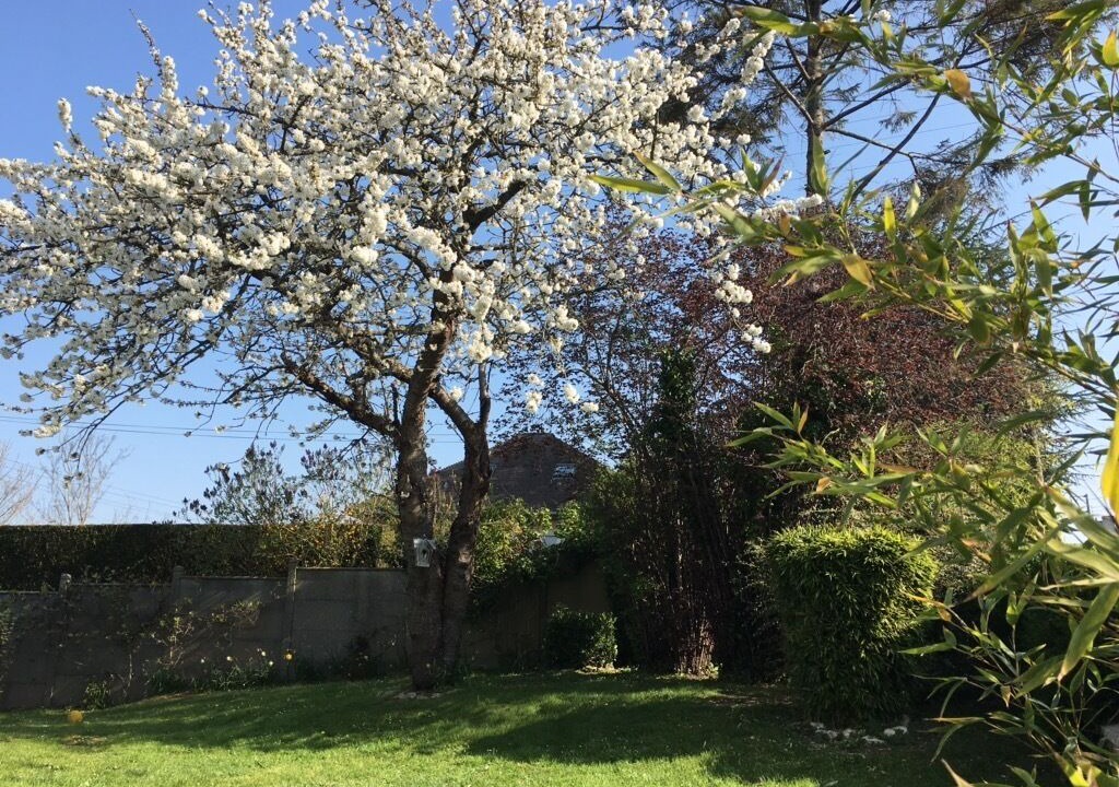 Photo of Outdoor in Bayeux
