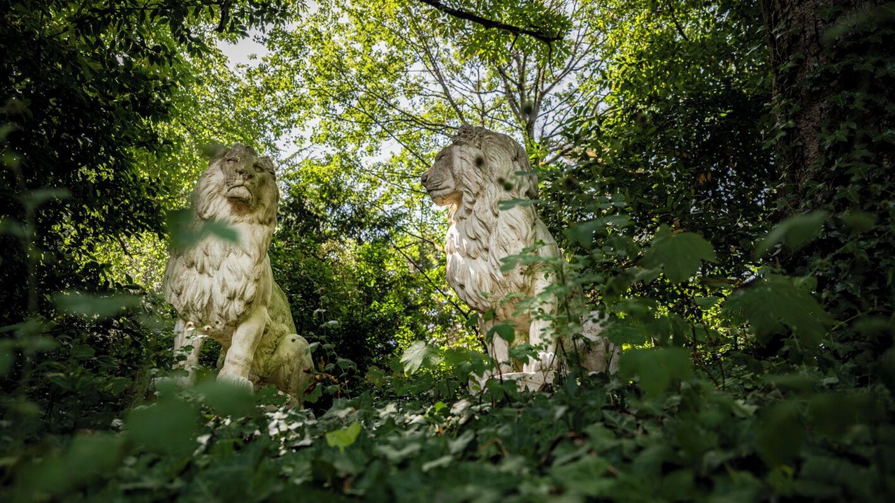 Photo of Outdoor in Sainte-Gemme-la-Plaine