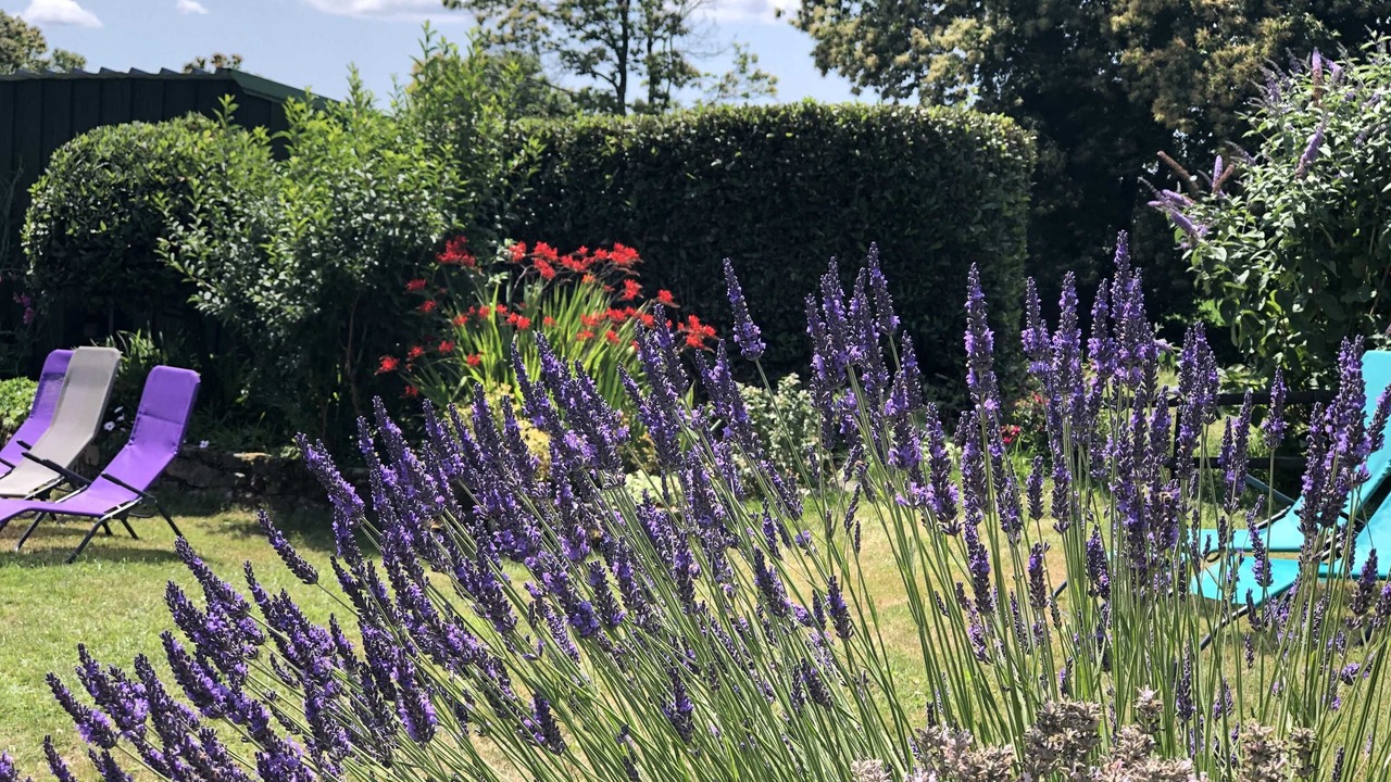 Photo of Outdoor in Ploerdut