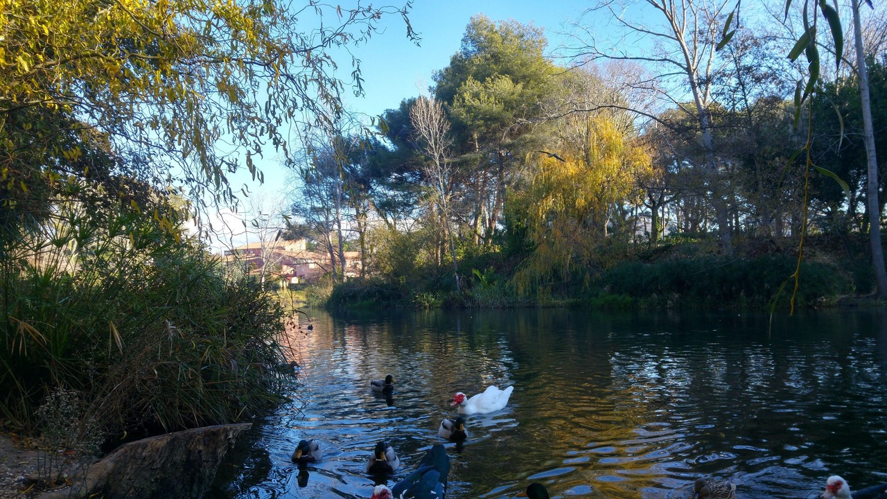 Photo of Others in Six-Fours-les-Plages