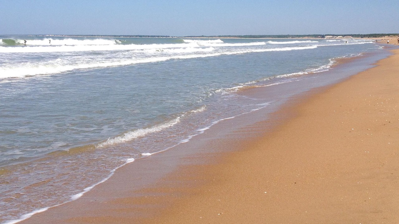 Photo of Others in La Faute-sur-Mer