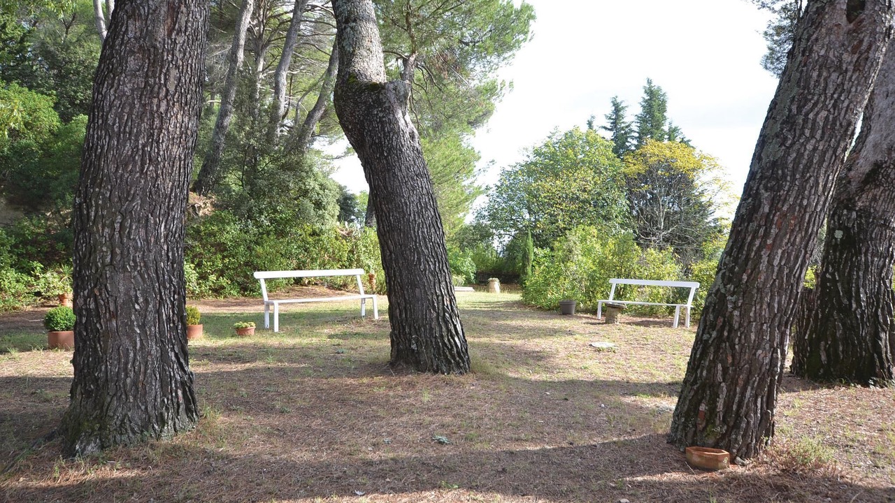 Photo of Others in Puymeras
