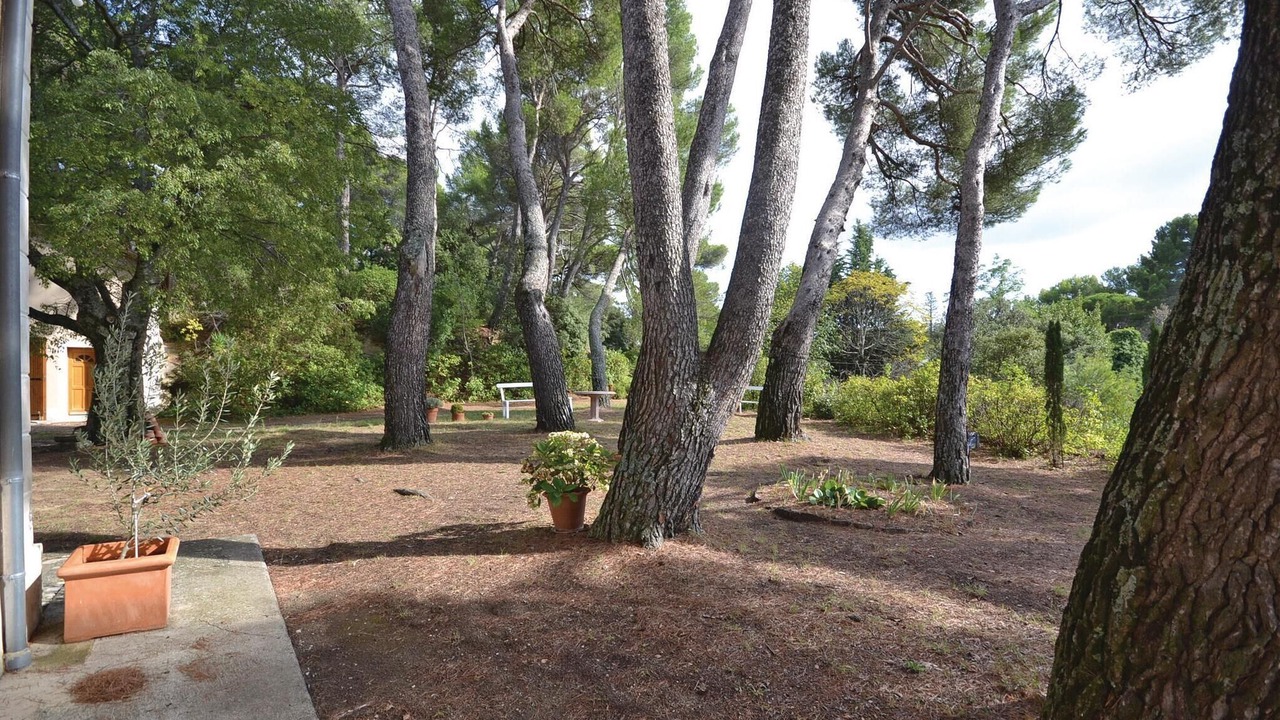 Photo of Others in Puymeras