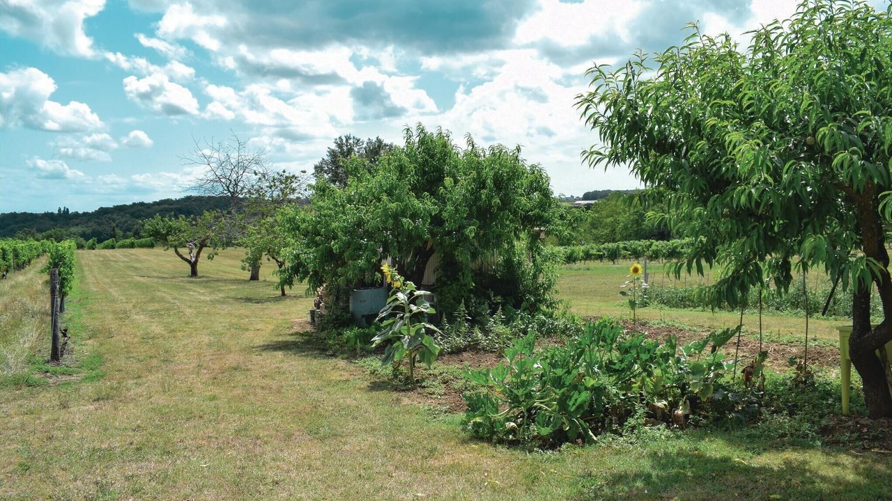 Photo of Outdoor in Massugas