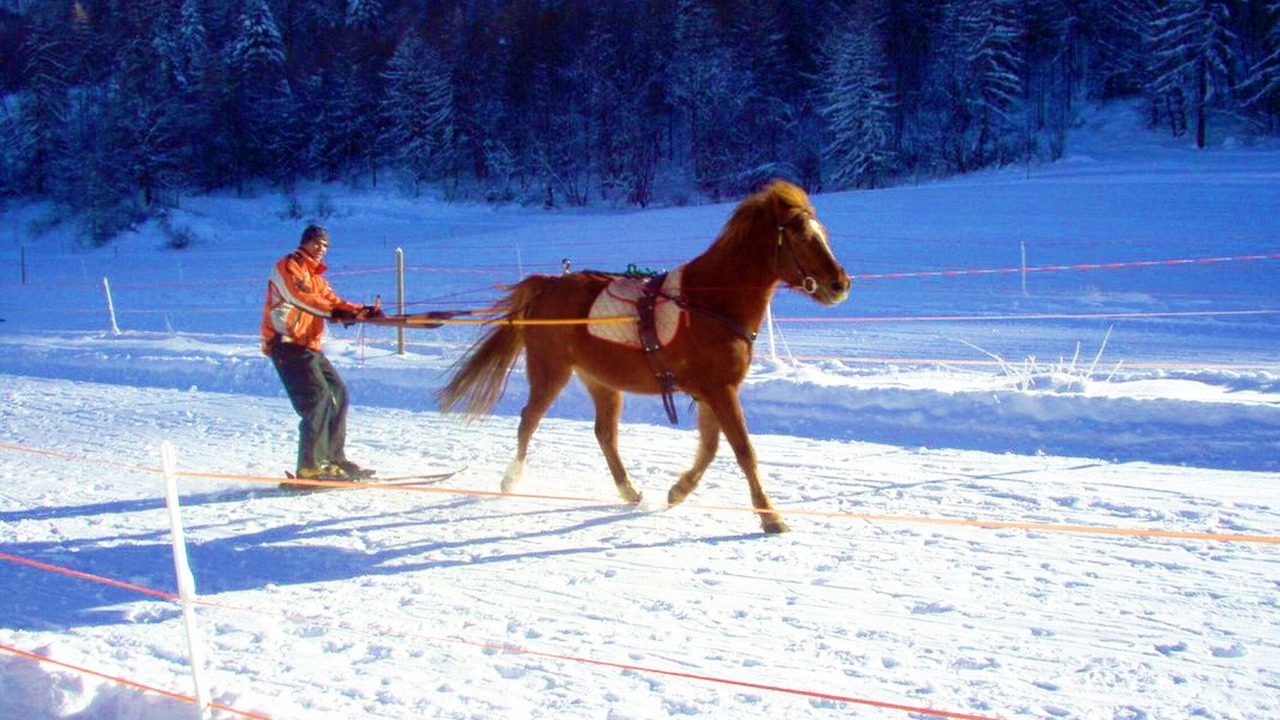Photo of Others in Saint-Leger-les-Melezes