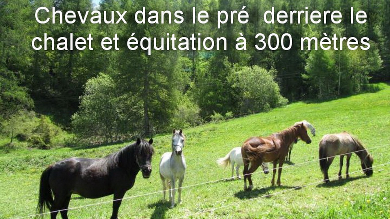 Photo of Outdoor in Saint-Leger-les-Melezes
