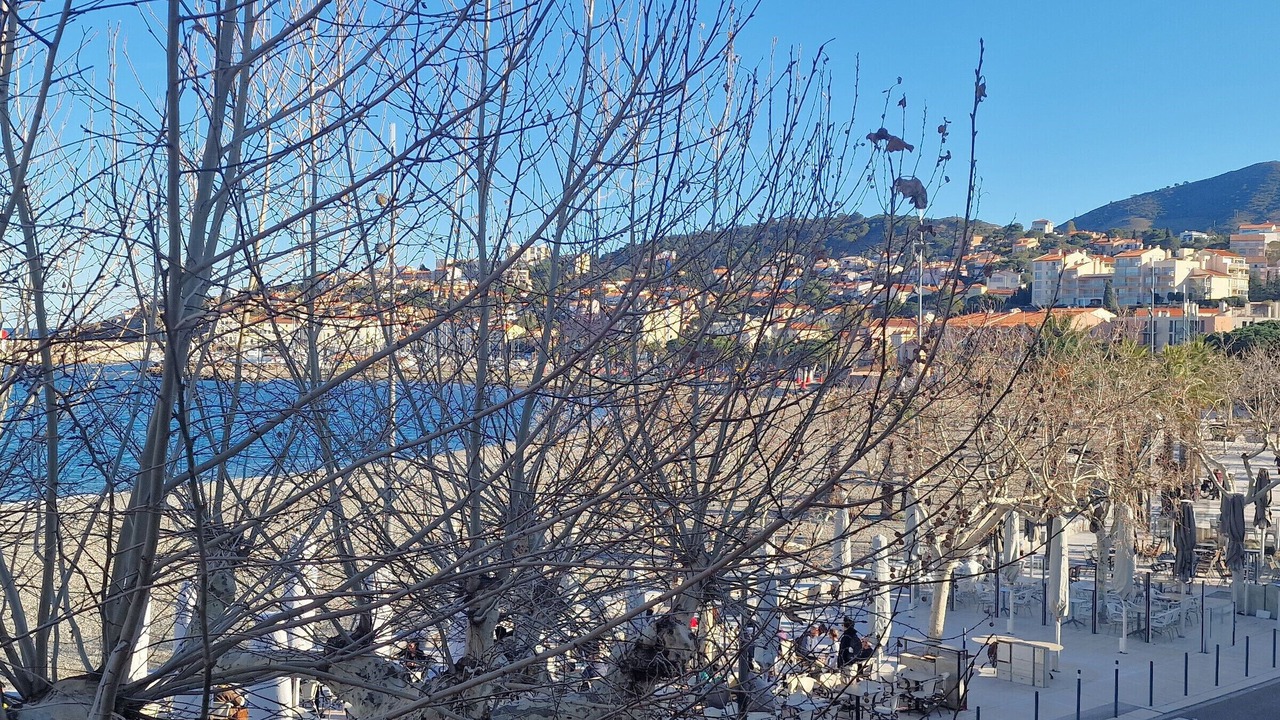 Photo of Outdoor in Banyuls-sur-Mer