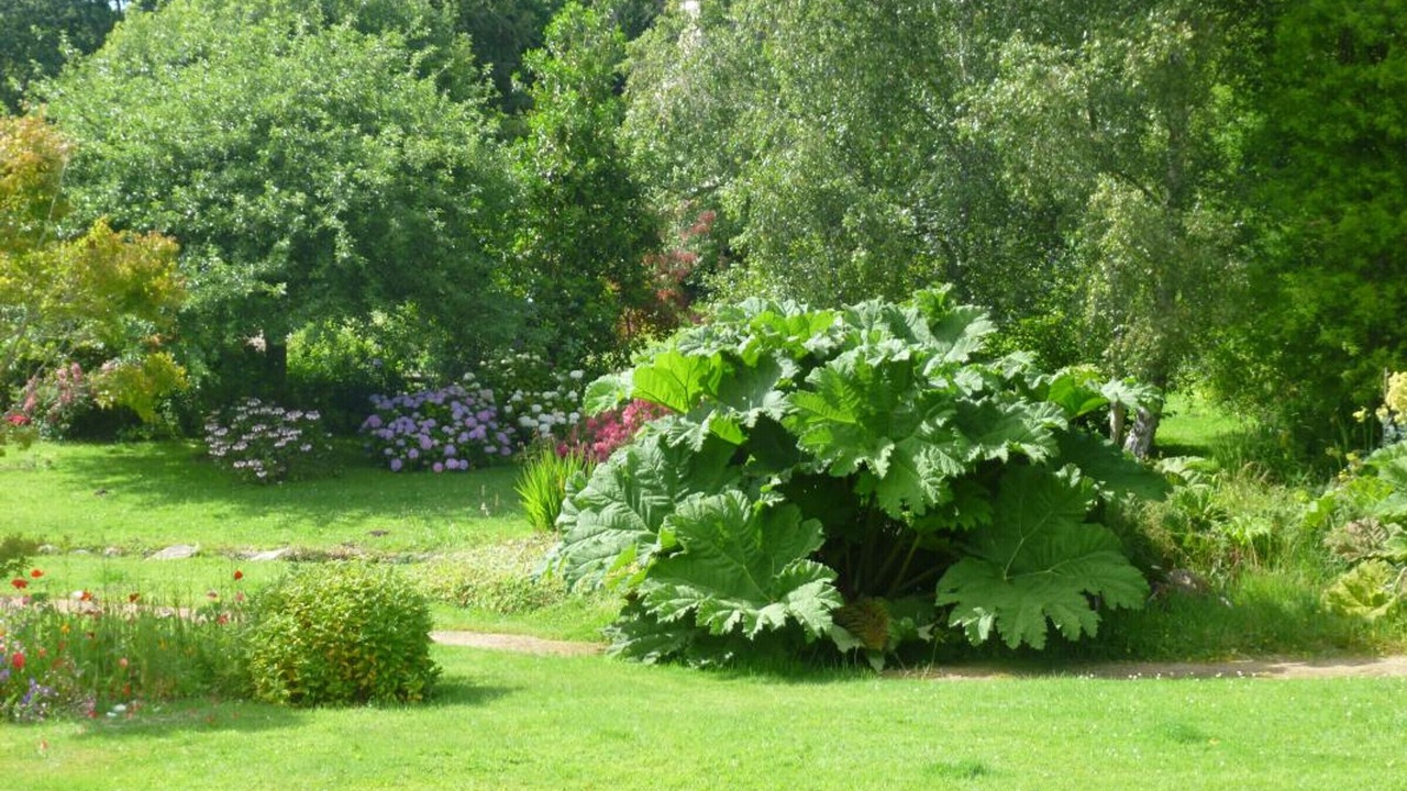 Photo of Outdoor in Theville